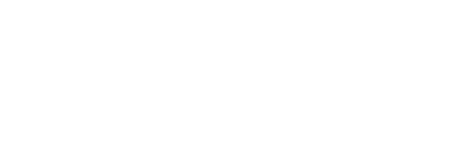 hnsg