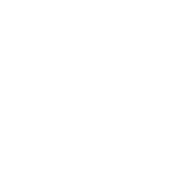 web
